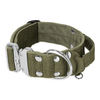 Extreme Silver Buckle Khaki - Starkt och säkert halsband