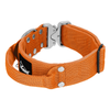 Extreme Silver Buckle Orange - Starkt och säkert halsband