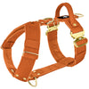 Easy Walk Extreme Gold Buckle Burned Orange - Sele med snabbspänne