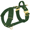 Easy Walk Extreme Gold Buckle Forest Green - Sele med snabbspänne