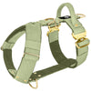 Easy Walk Extreme Gold Buckle Olive Green - Sele med snabbspänne