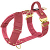 Easy Walk Extreme Gold Buckle Raspberry Red - Sele med snabbspänne