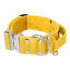 Extreme Silver Buckle Gult - Starkt och säkert halsband