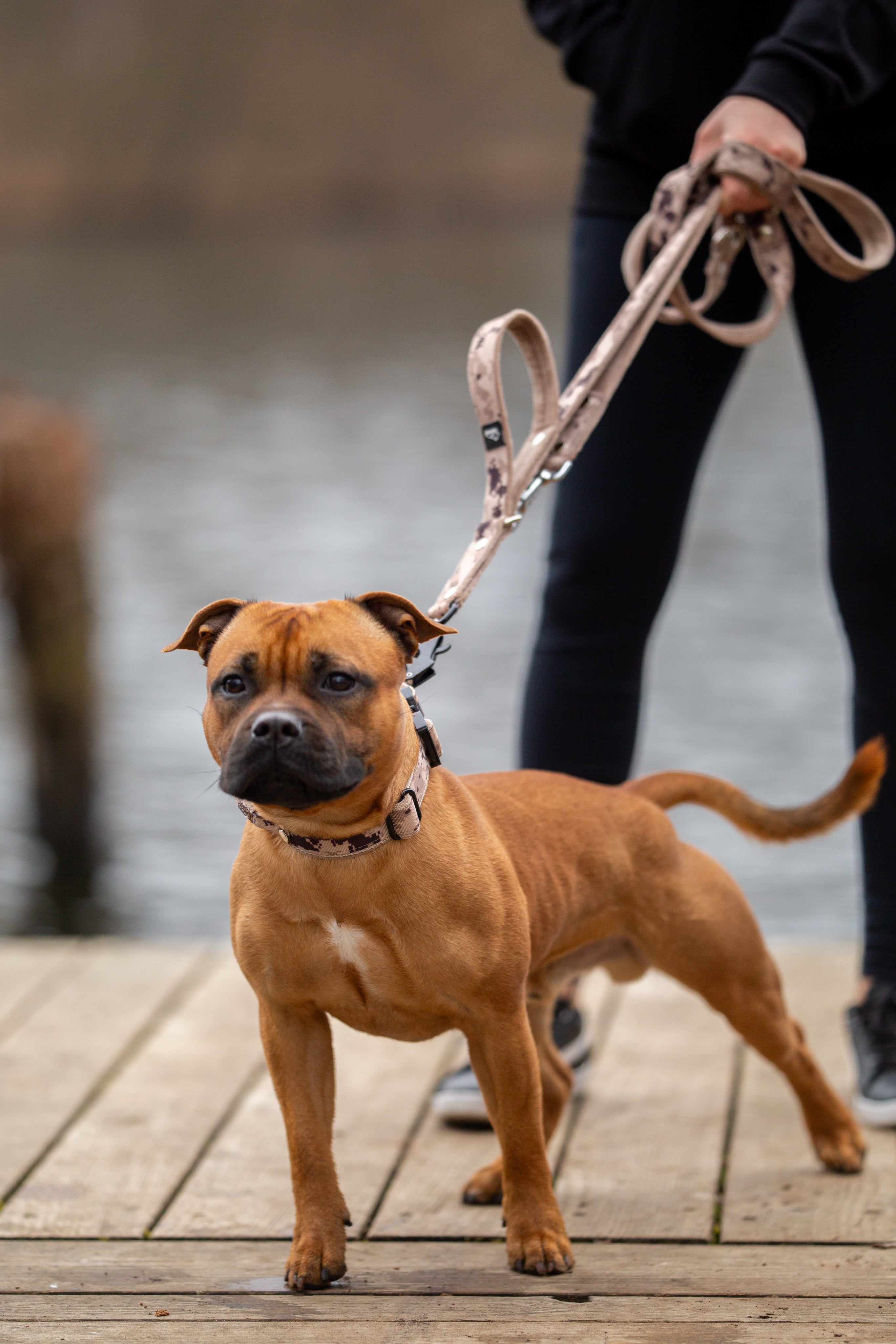 Guard Leash Camo Beige - Väktarkoppel med extra handtag