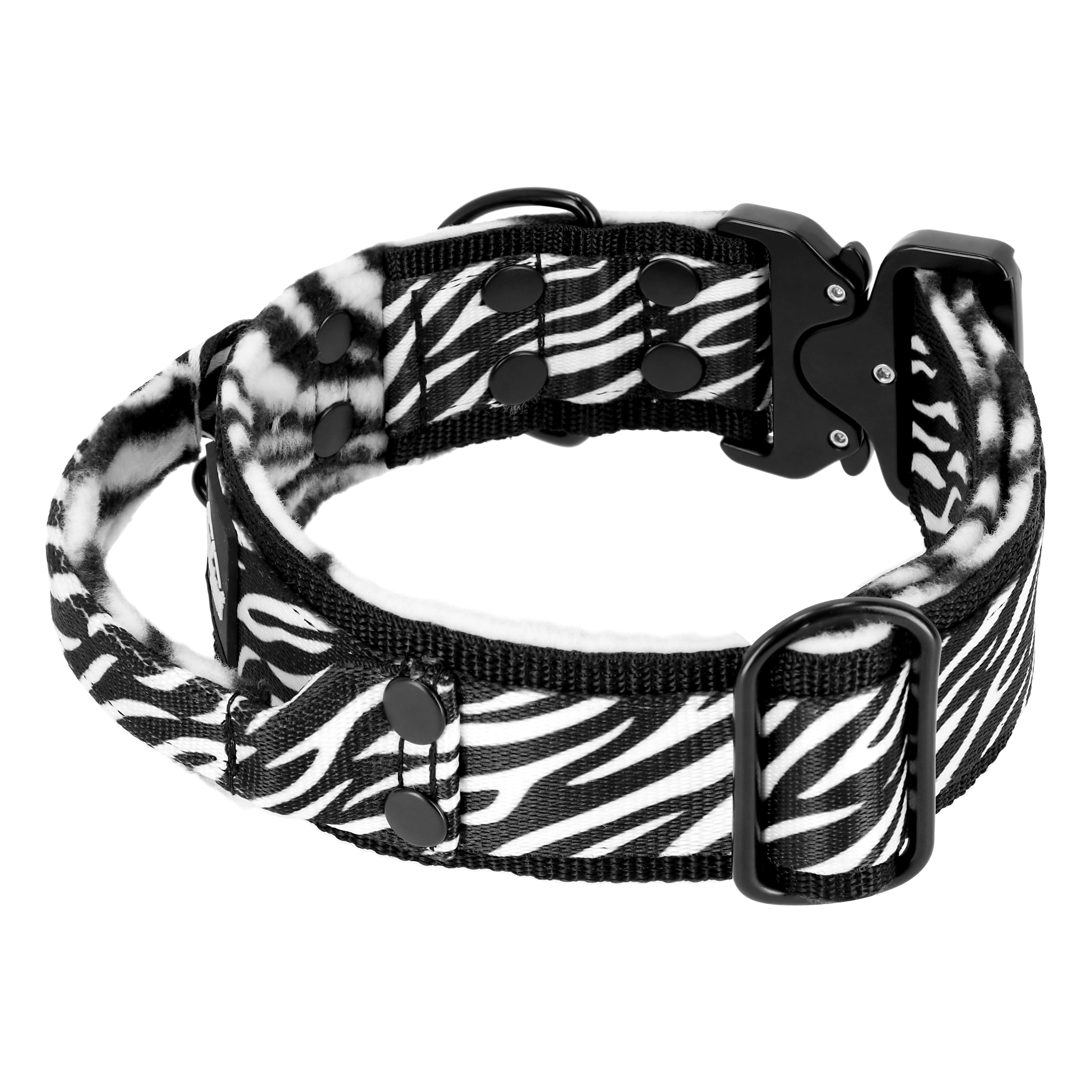 Extreme Buckle Zebra - Starkt och säkert hundhalsband
