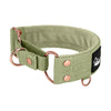 Martingale Rose Edition Olive Green - Brett fodrat halsband halvstryp