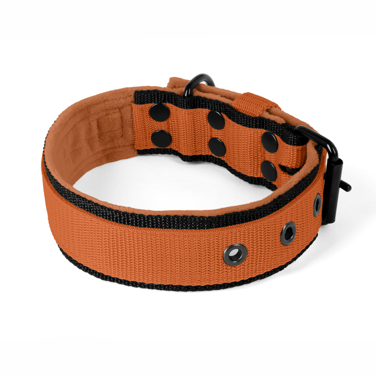 Active Black Edition Burned Orange