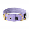 Active Gold Edition Baby Purple