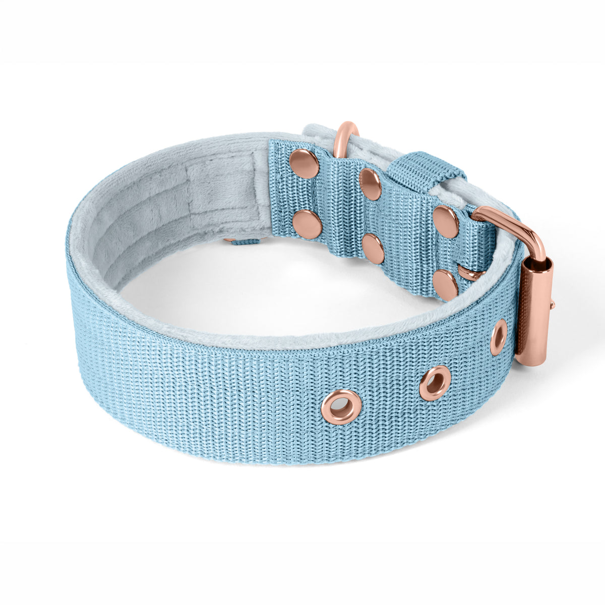 Active Rose Edition Baby Blue