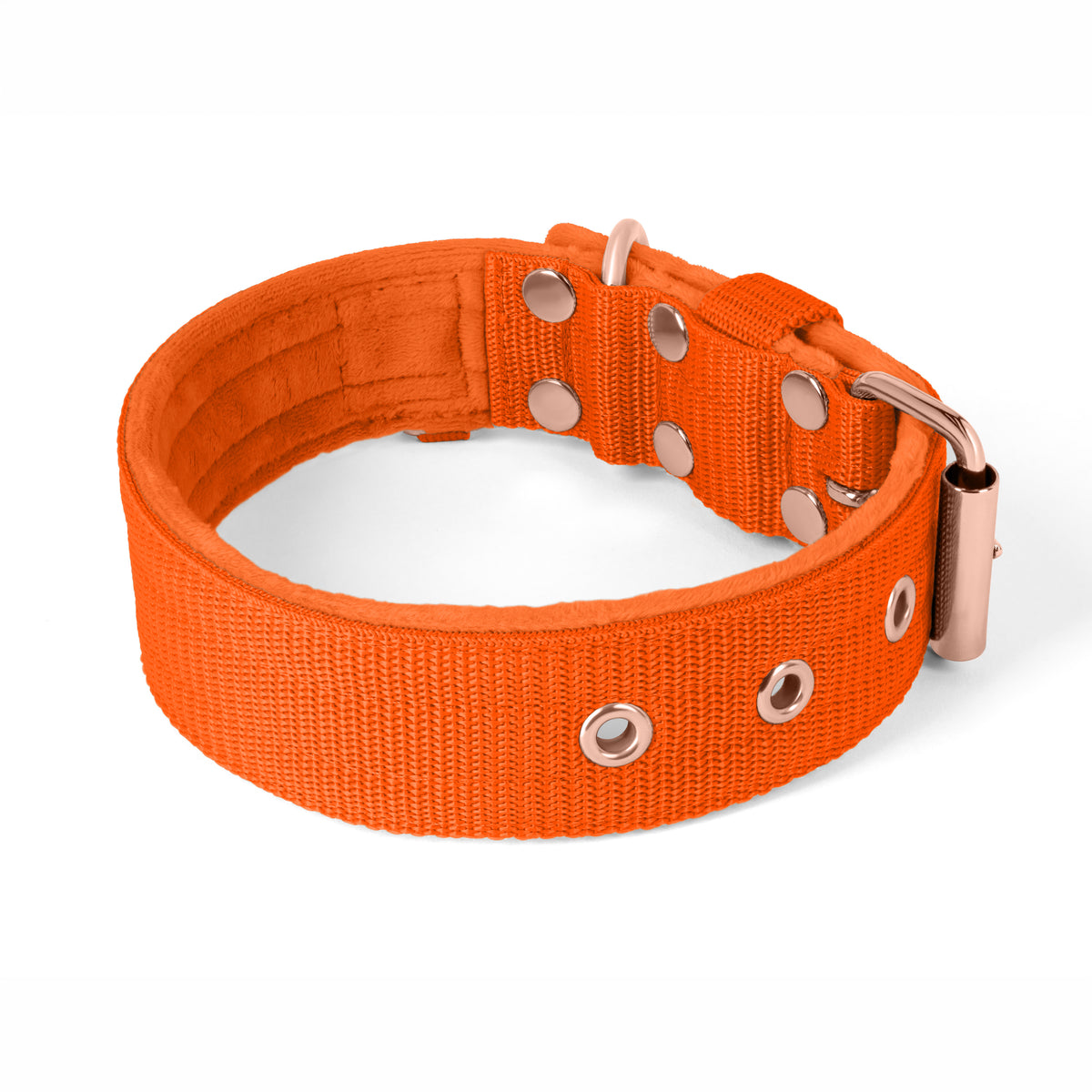 Active Rose Edition Orange