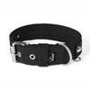 Active Silver Edition Black