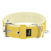 Active Baby Yellow - Brett slitstarkt halsband med spänne