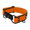 Martingale Black Edition Orange - Brett fodrat halsband halvstryp