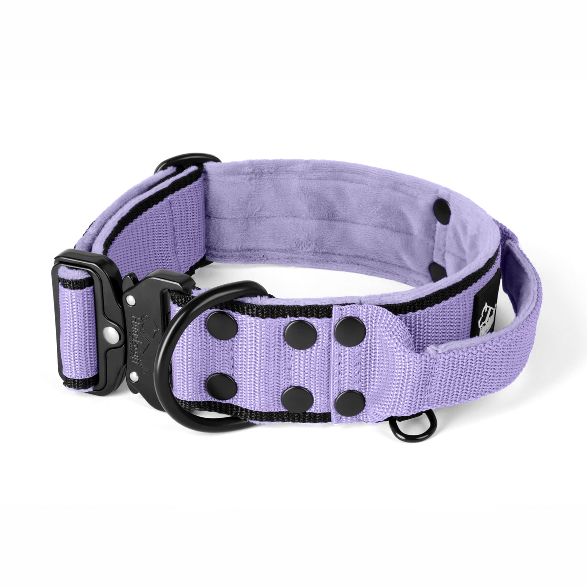 Extreme Buckle Black Edition Baby Purple