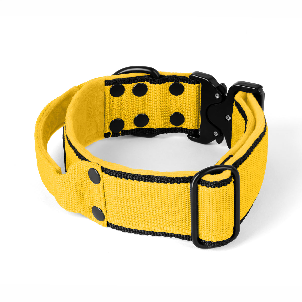 Extreme Buckle Black Edition Yellow
