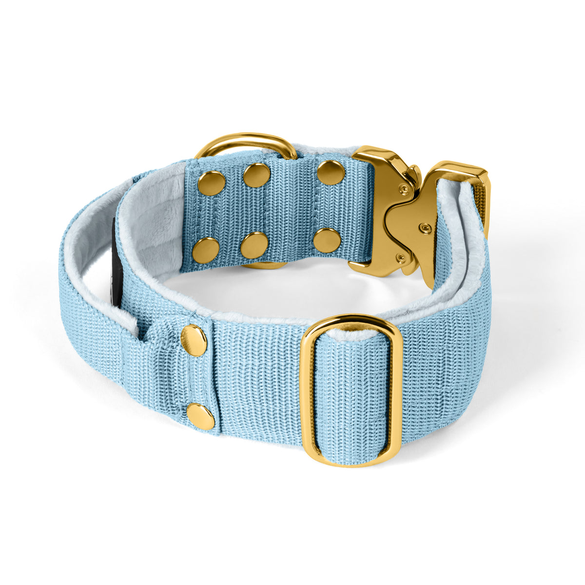 Extreme Buckle Gold Edition Baby Blue