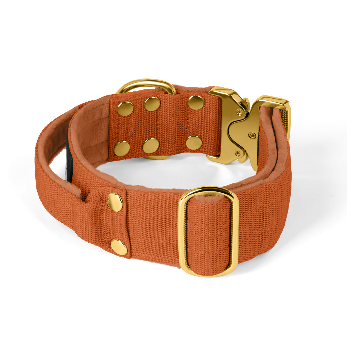 Extreme Buckle Gold Edition Burned Orange