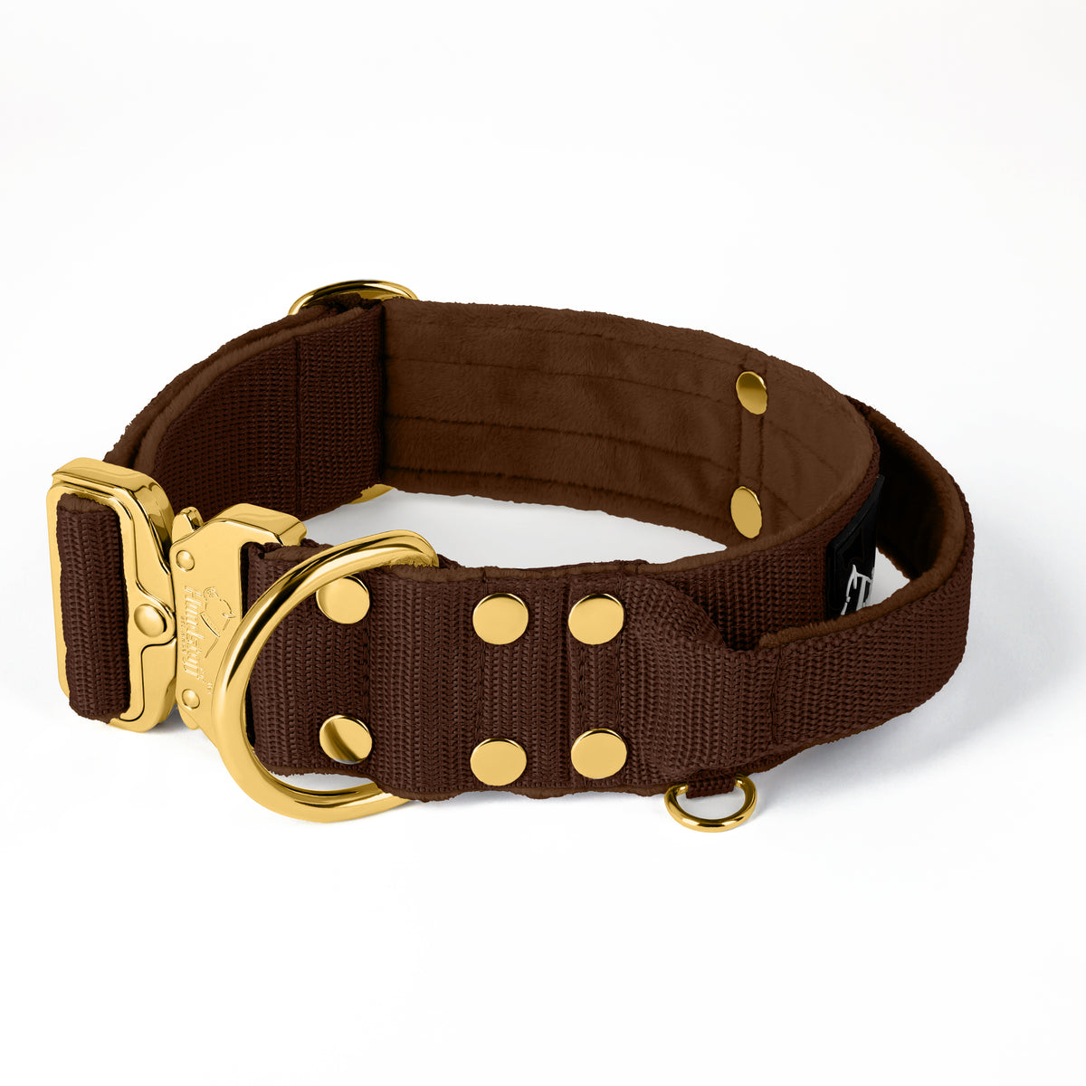 Extreme Buckle Gold Edition Dark Brown