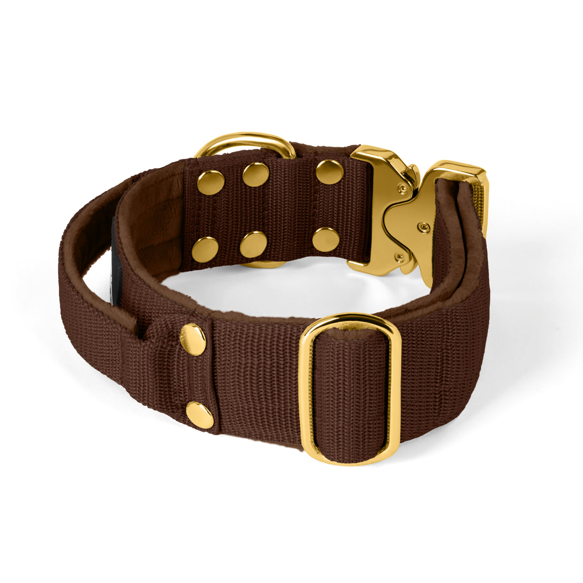 Extreme Buckle Gold Edition Dark Brown