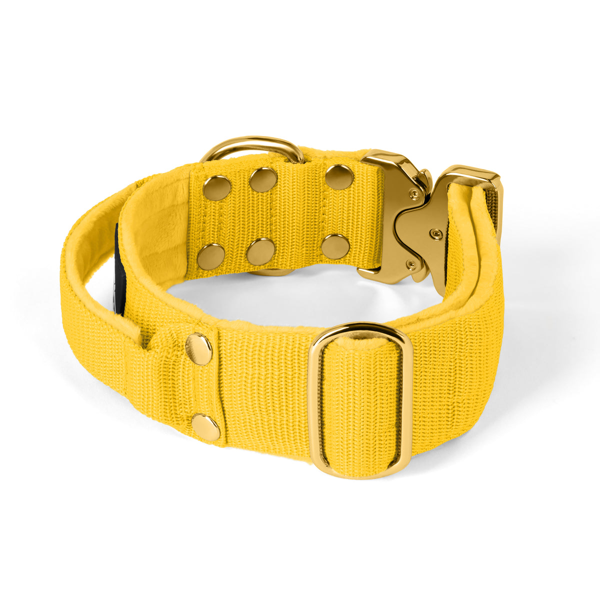 Extreme Buckle Gold Edition Yellow