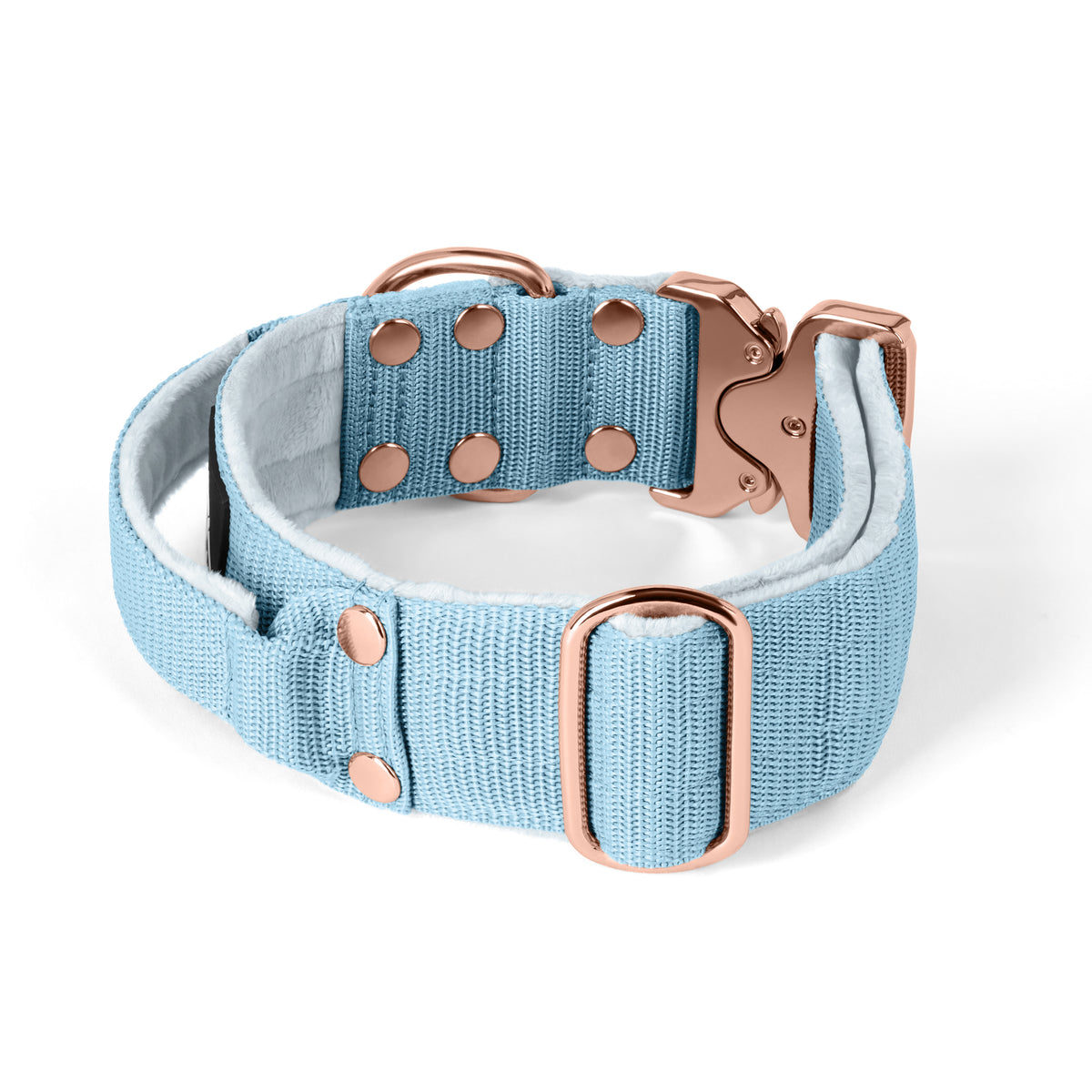 Extreme Buckle Rose Edition Baby Blue