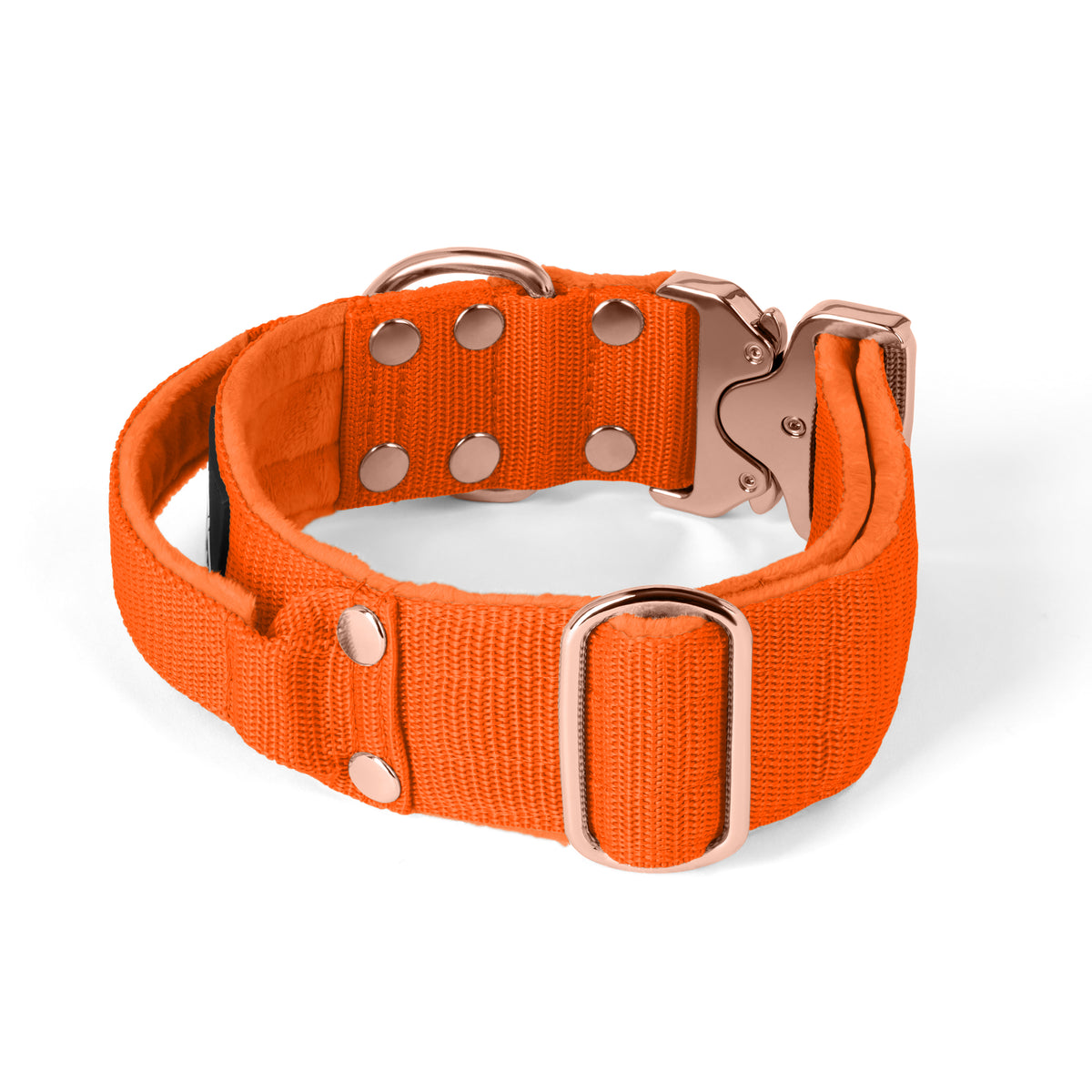 Extreme Buckle Rose Edition Orange