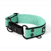 Martingale Black Edition Mint