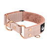 Martingale Rose Edition Pastel Beige - Brett fodrat halsband halvstryp