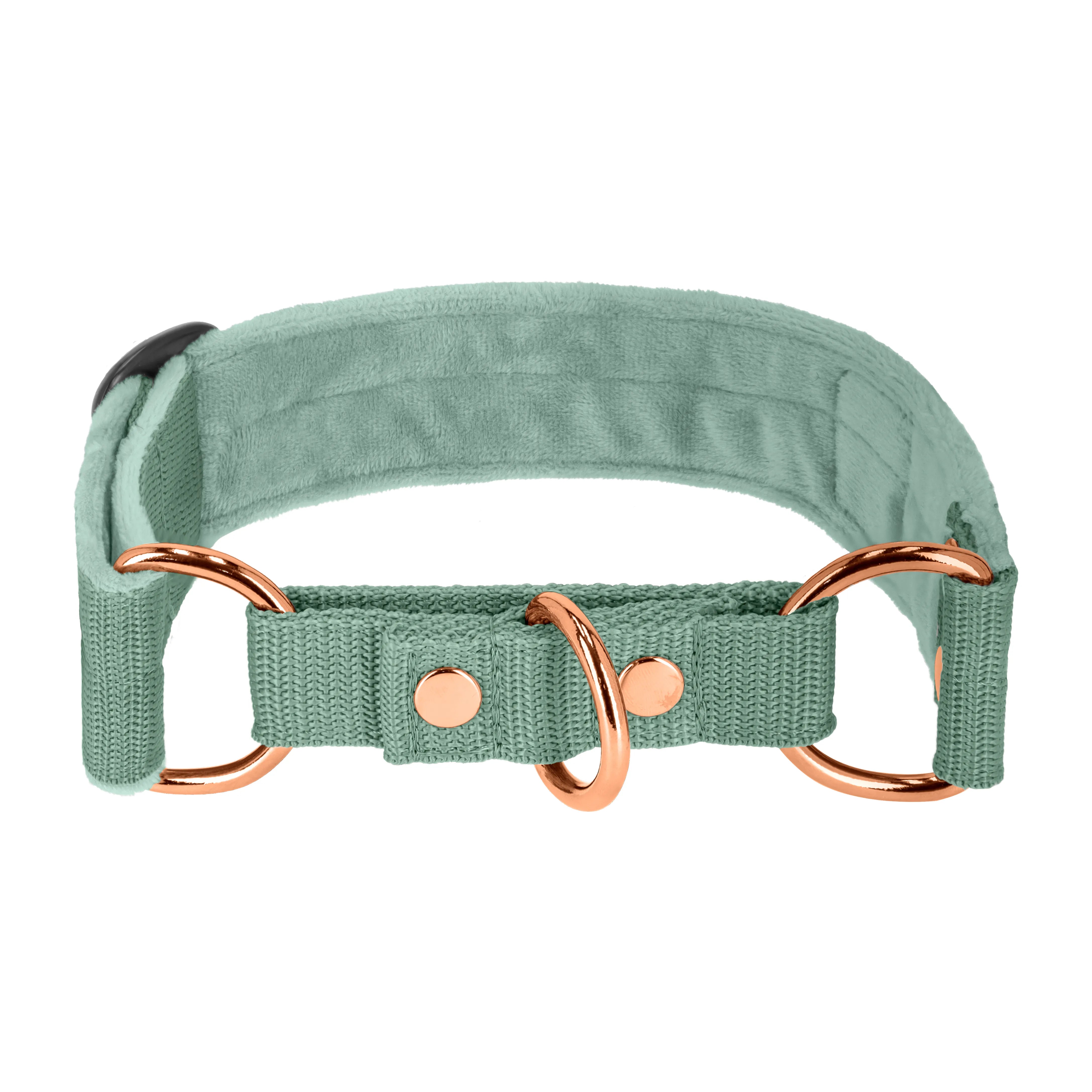 Martingale Rose Edition Pastel Green - Brett fodrat halsband halvstryp