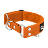 Martingale Orange - Brett fodrat halsband halvstryp