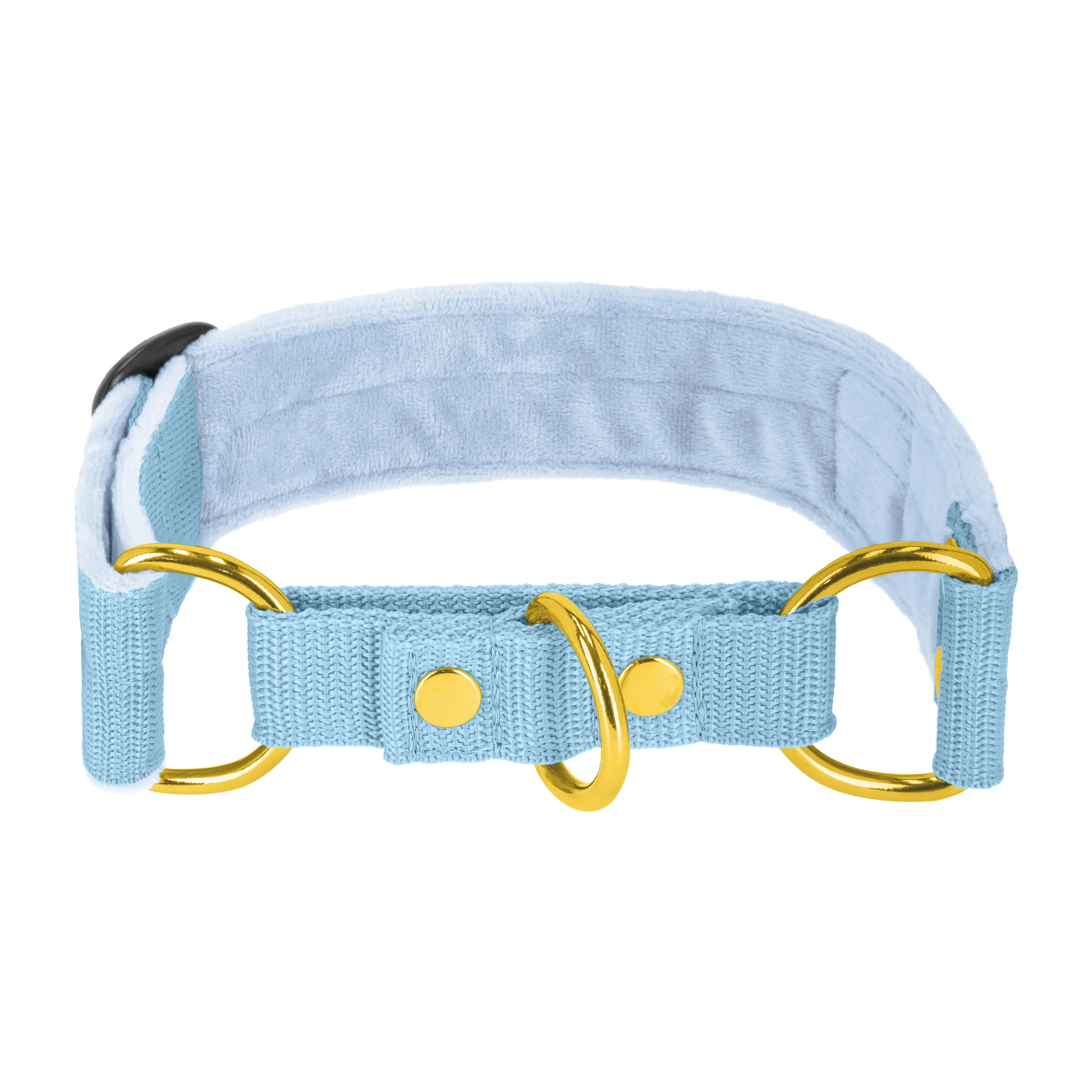 Martingale Golden Baby Blue - Brett fodrat halsband halvstryp