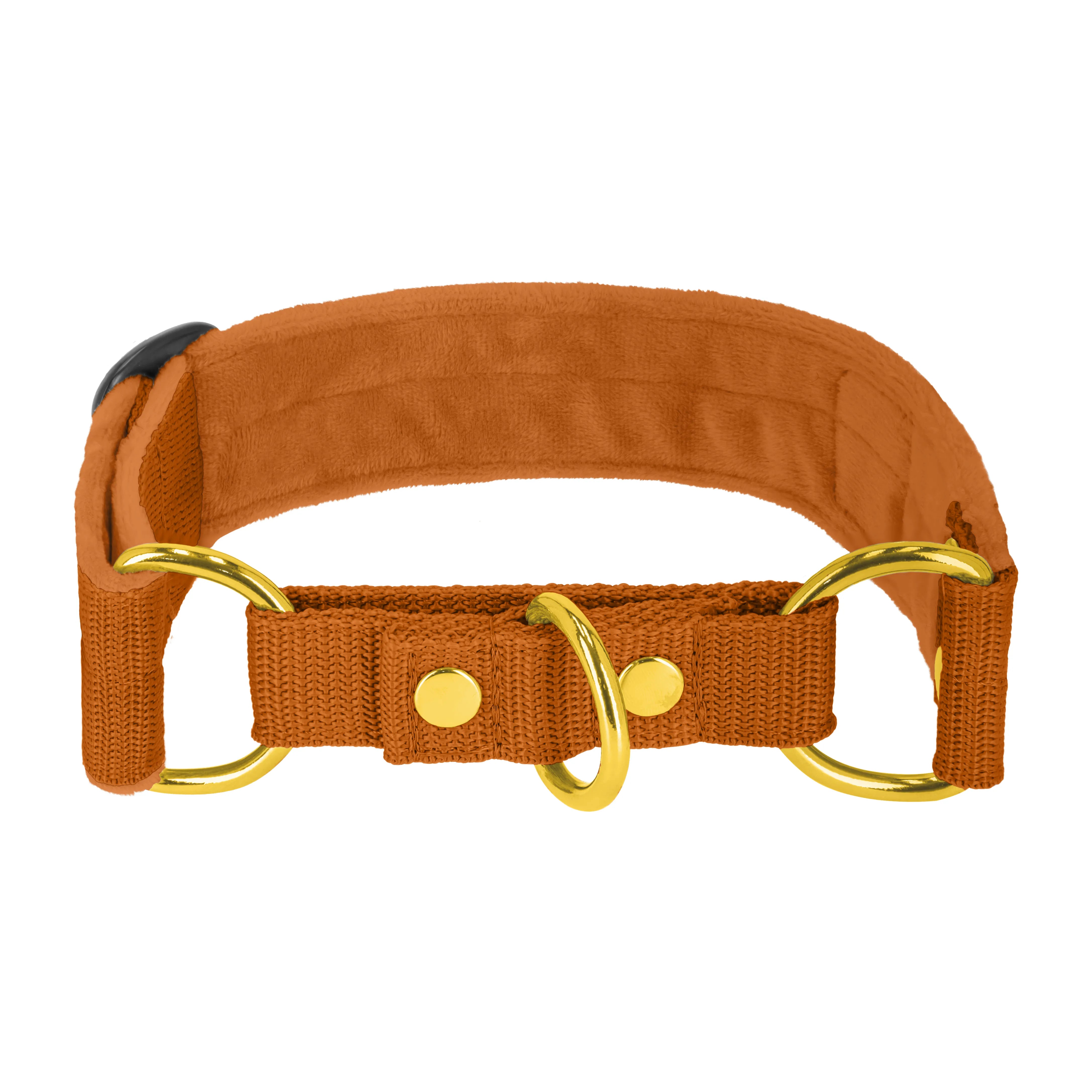 Martingale Golden Burned Orange - Brett fodrat halsband halvstryp