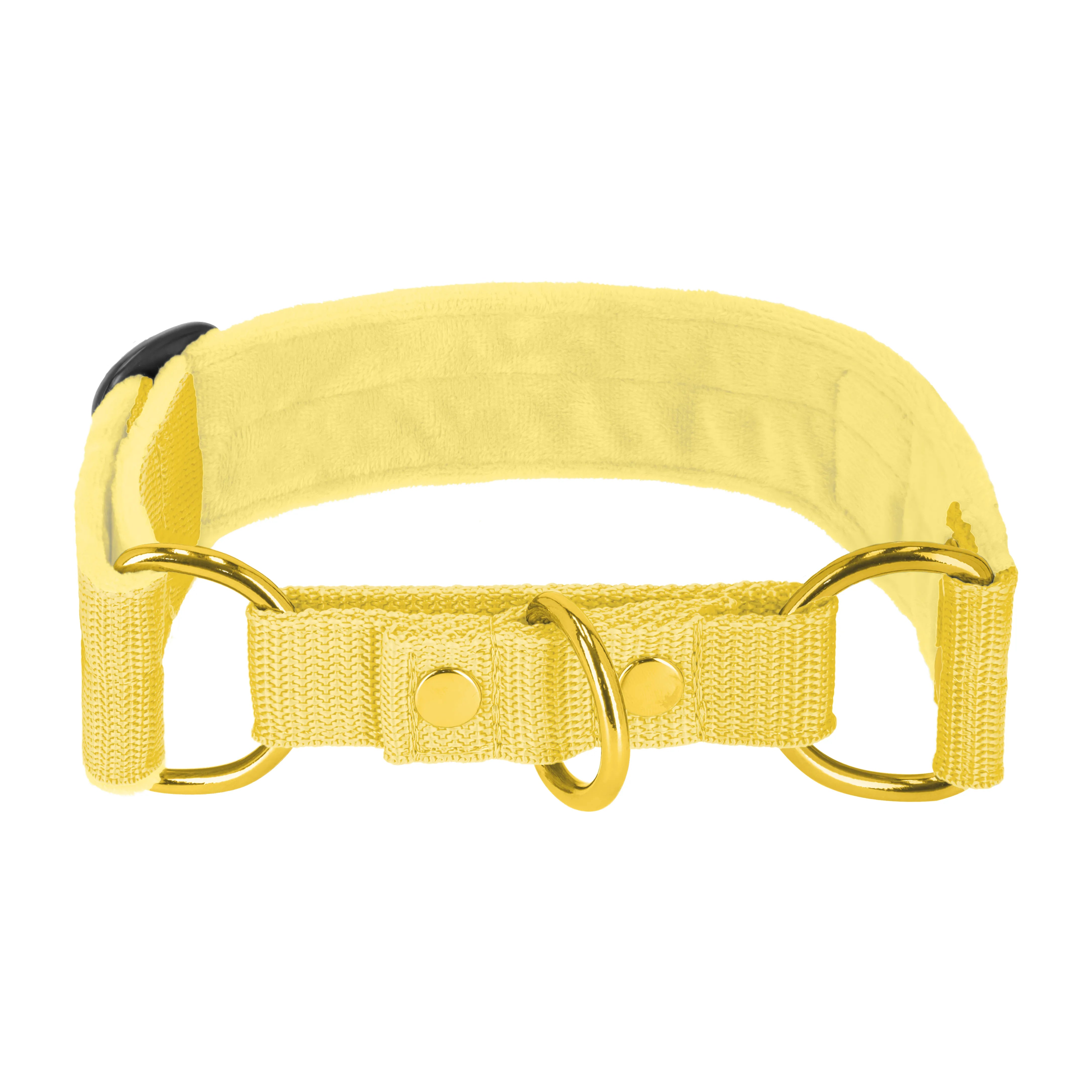 Martingale Golden Gold Yellow - Brett fodrat halsband halvstryp