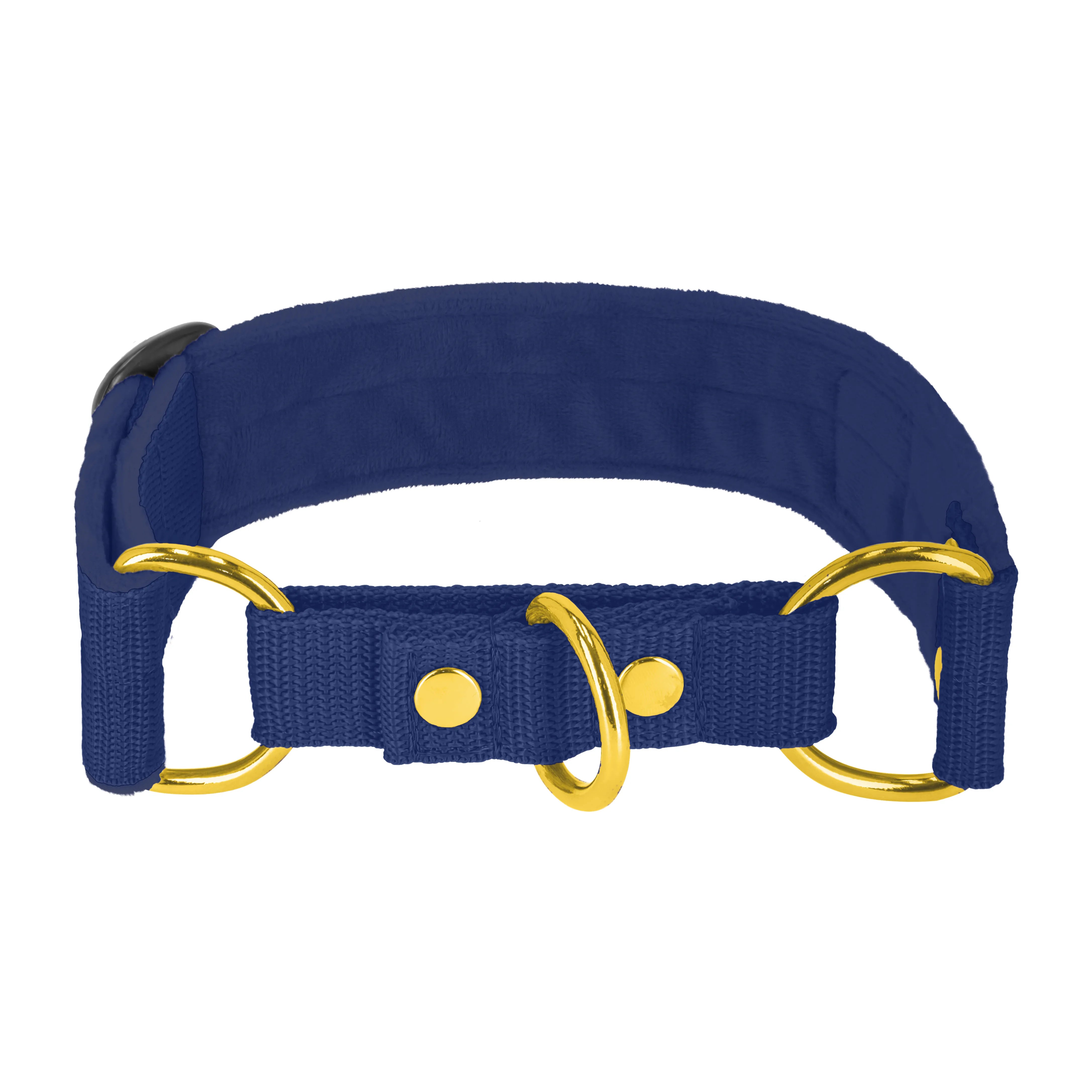 Martingale Golden Navy Blue - Brett fodrat halsband halvstryp