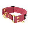 Martingale Golden Raspberry Red - Brett fodrat halsband halvstryp