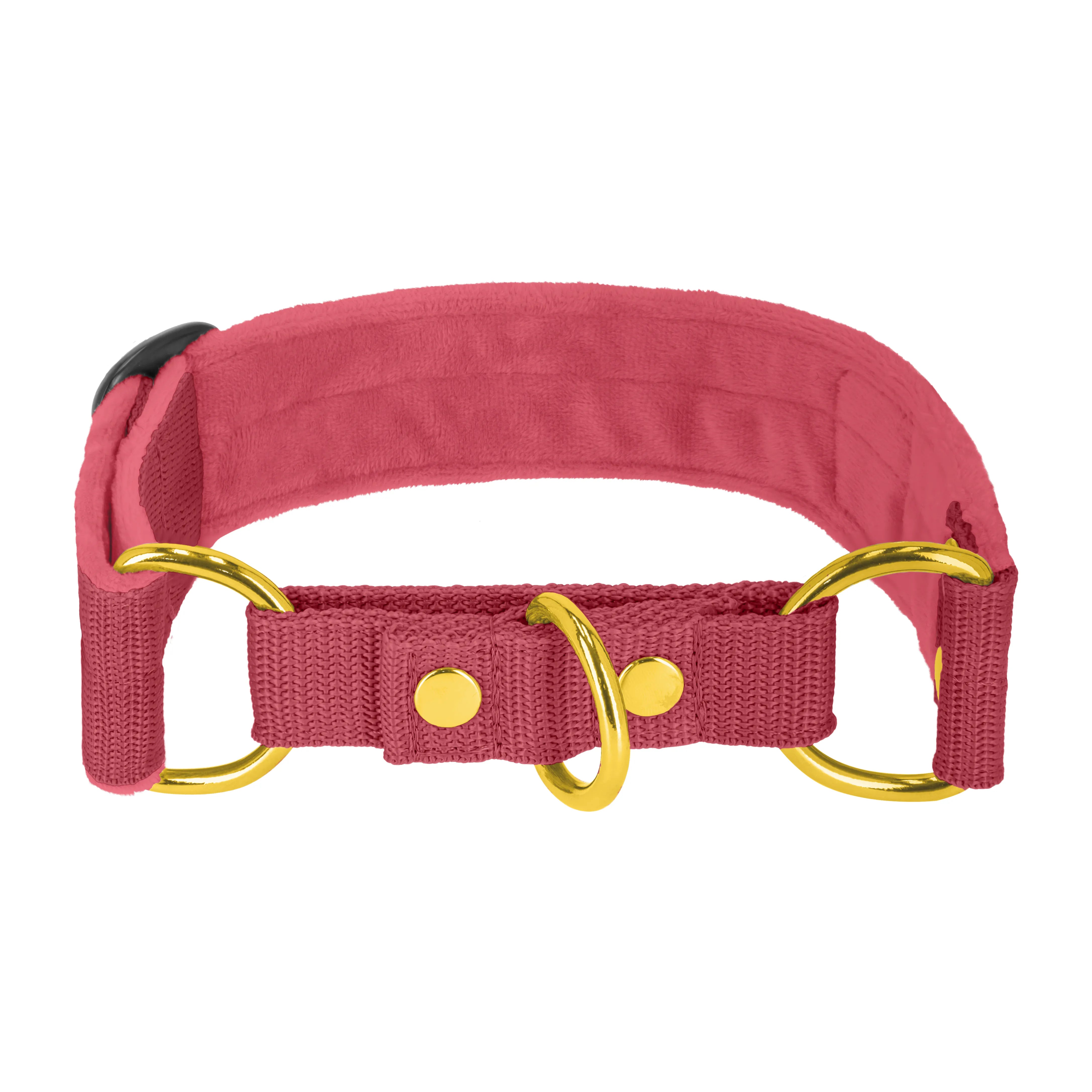 Martingale Golden Raspberry Red - Brett fodrat halsband halvstryp