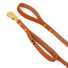 Guard Leash Gold Edition Burned Orange