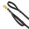 Guard Leash Gold Edition Dark Grey
