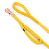 Guard Leash Rose Edition Yellow