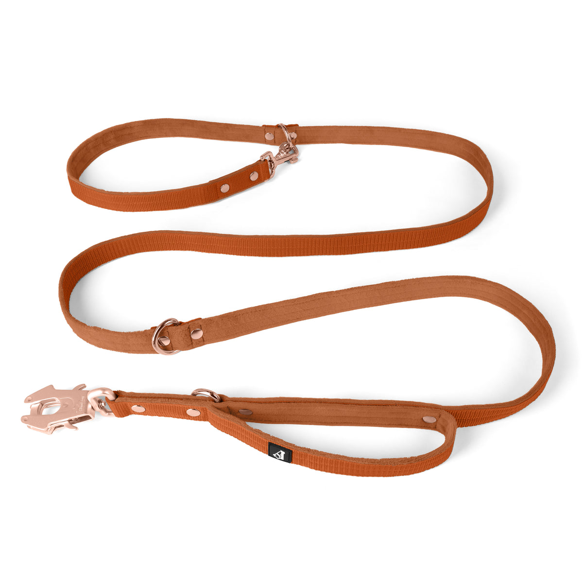 Multi Guard Leash Rose Edition Burned Orange