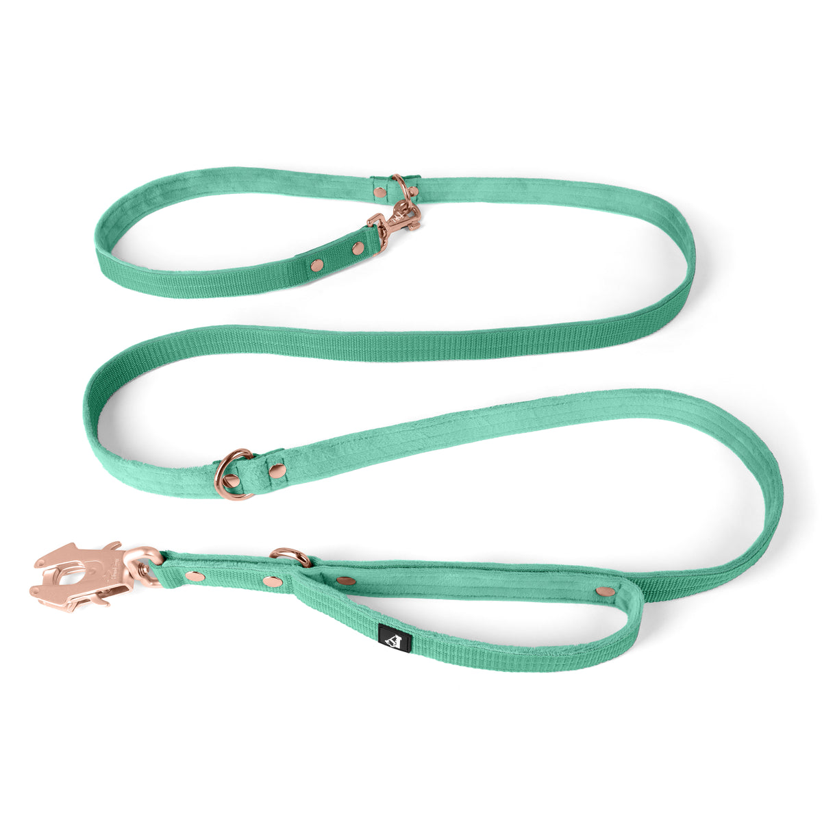 Multi Guard Leash Rose Edition Mint