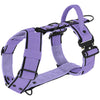 Easy Walk Extreme Black Edition Baby Purple - Sele med snabbspänne