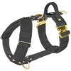 Easy Walk Extreme Gold Buckle Dark Grey - Sele med snabbspänne