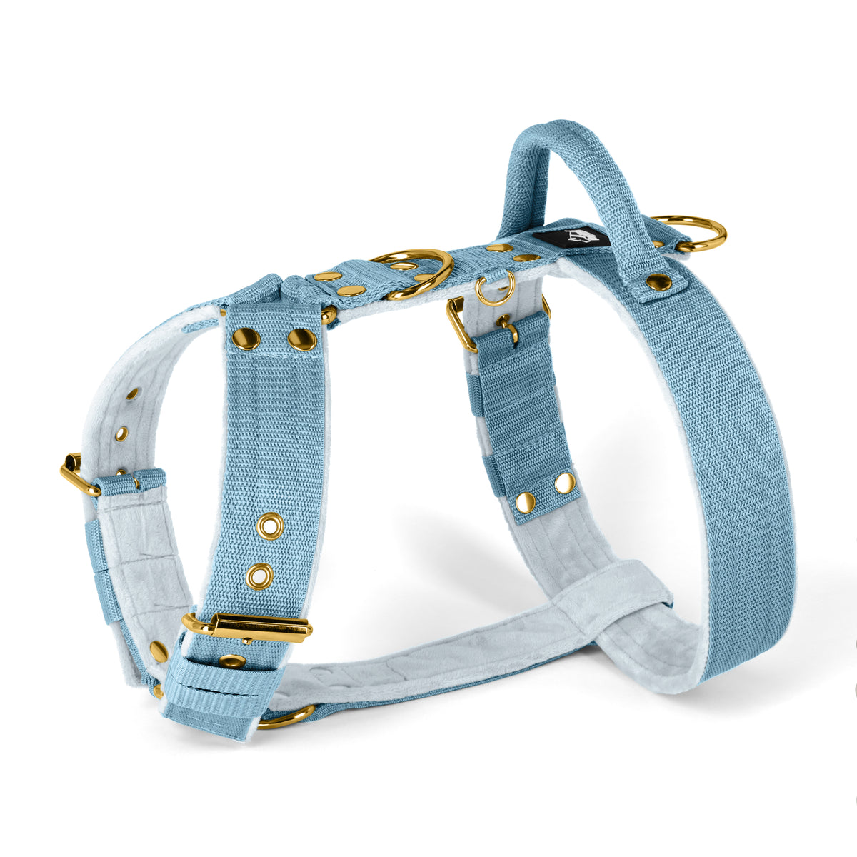 Easy Walk Gold Edition Baby Blue