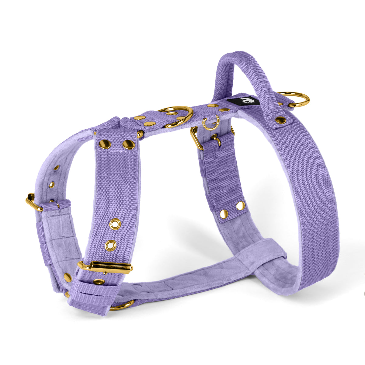 Easy Walk Gold Edition Baby Purple