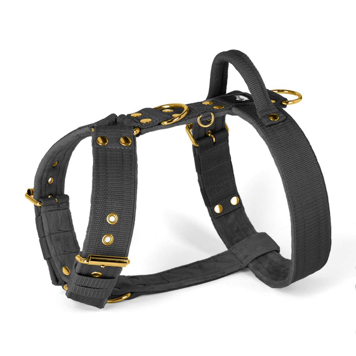 Easy Walk Gold Edition Dark Grey