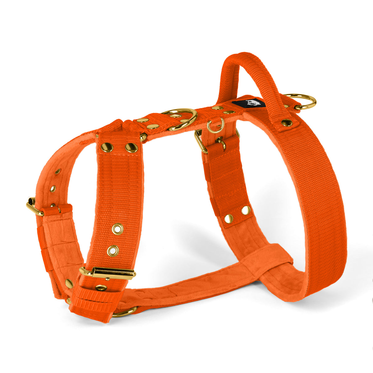 Easy Walk Gold Edition Orange
