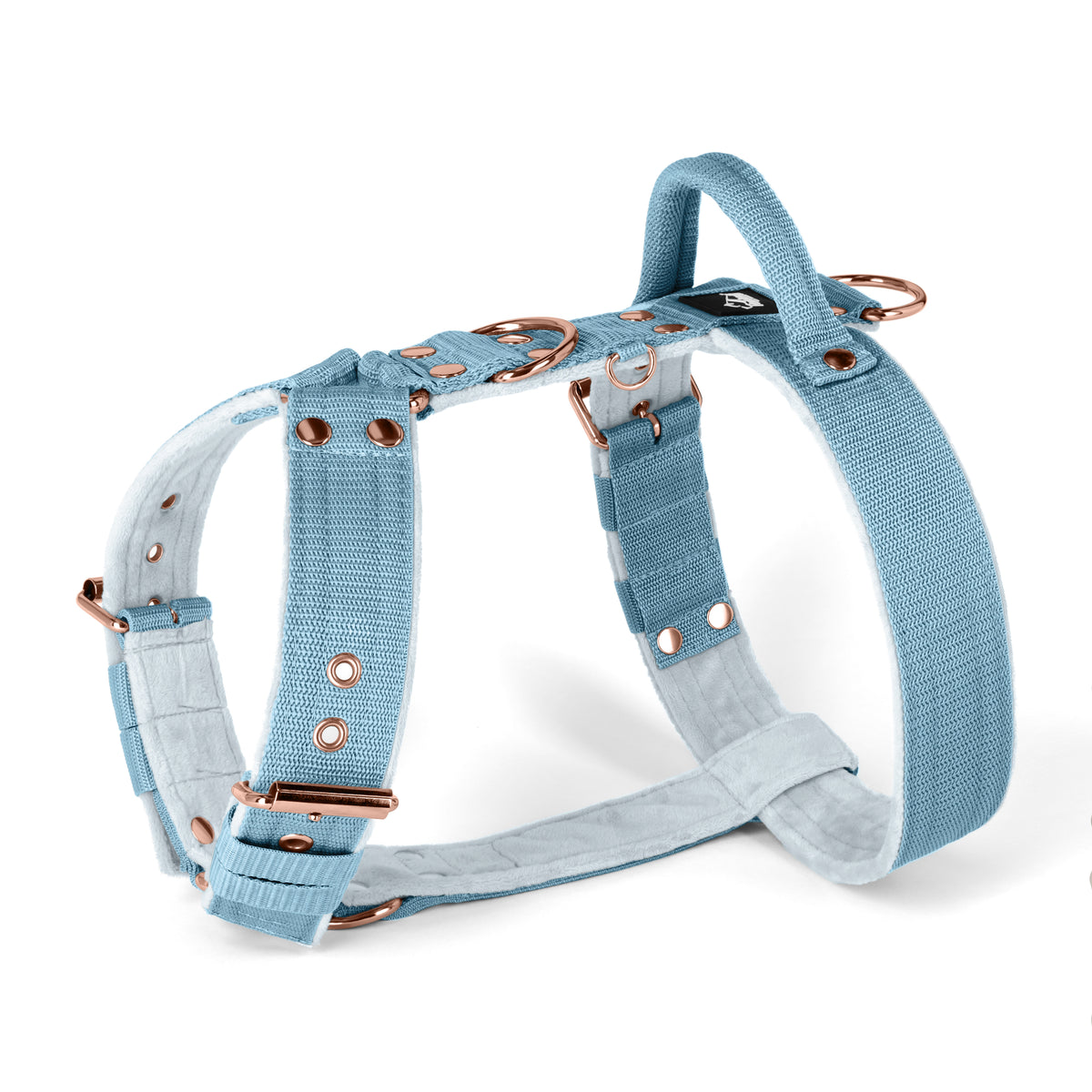 Easy Walk Rose Edition Baby Blue