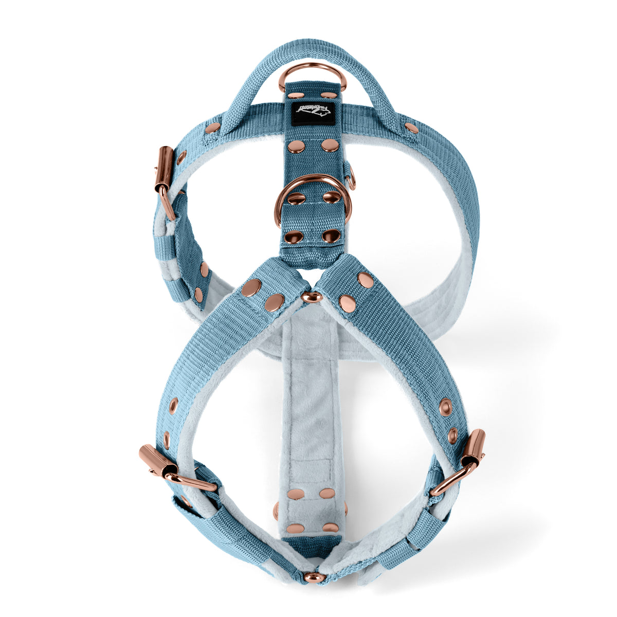 Easy Walk Rose Edition Baby Blue