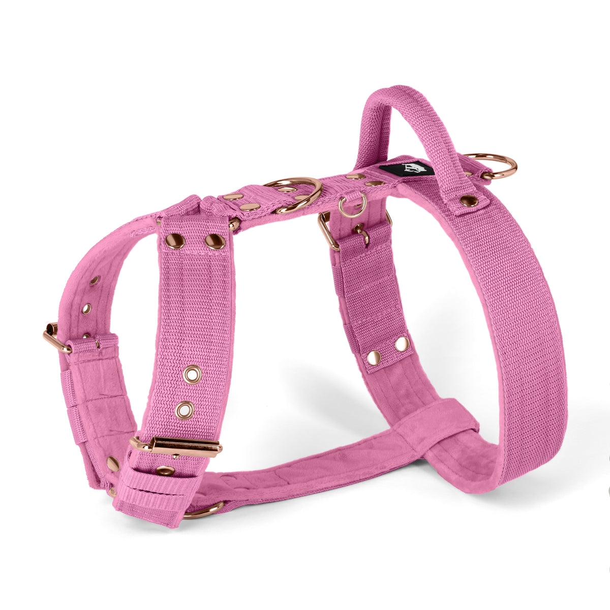 Easy Walk Rose Edition Candy Pink